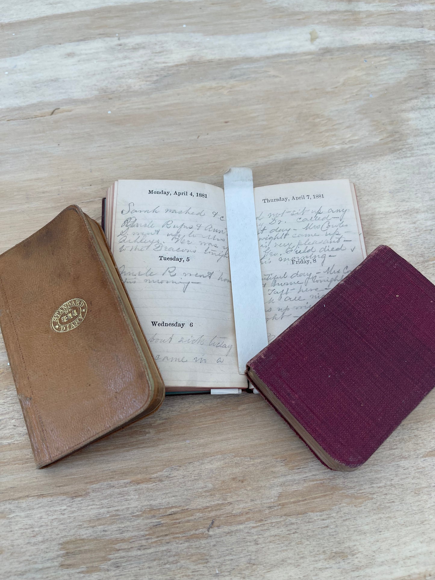 1800’s handwritten diaries