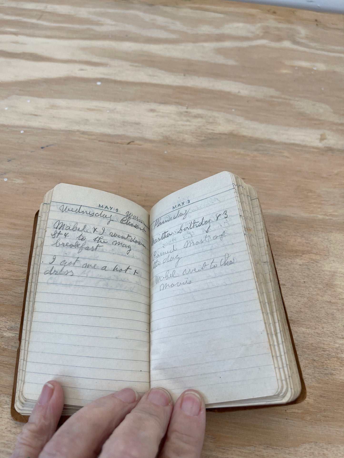 Handwritten diary