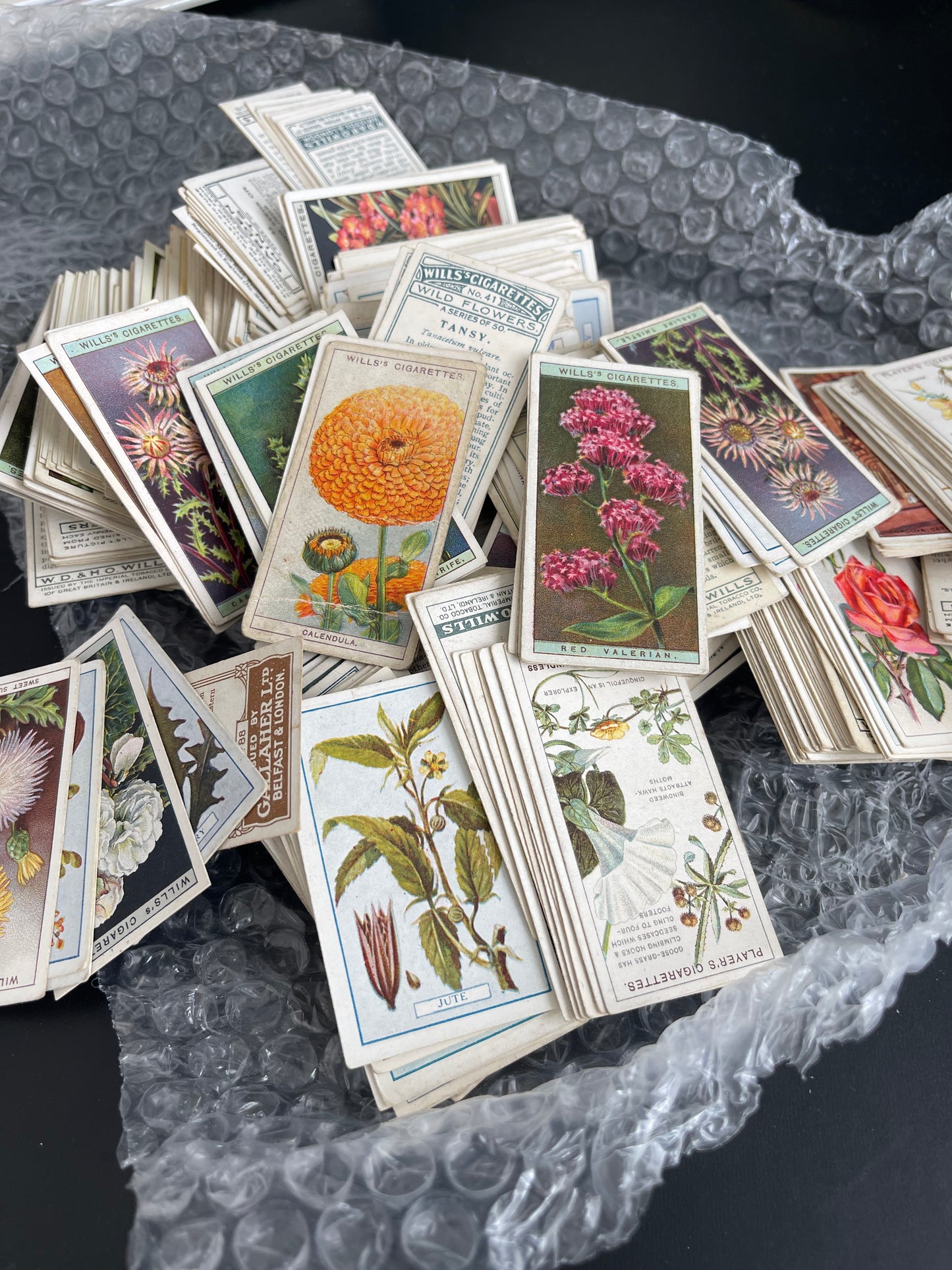 FLORAL theme Vintage Tobacco Cards,Set of 30